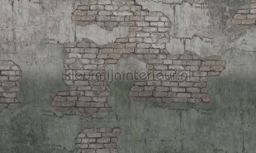 Noordwand Vanilla Lime 14244 | Bestellen bij https://www.kleurmijninterieur.nl/