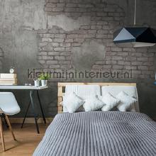 Noordwand Vanilla Lime 14246 | Bestellen bij https://www.kleurmijninterieur.nl/