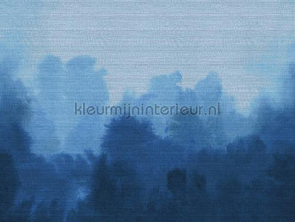 Elitis Soie changeante VP 933 01 | Bestellen bij https://www.kleurmijninterieur.nl/