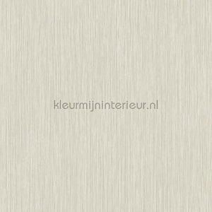 Hookedonwalls New Wave 24831 | Bestellen bij https://www.kleurmijninterieur.nl/