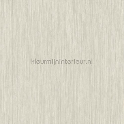 Hookedonwalls New Wave 24831 | Bestellen bij https://www.kleurmijninterieur.nl/