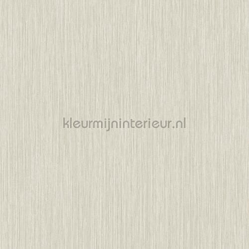 Hookedonwalls New Wave 24831 | Bestellen bij https://www.kleurmijninterieur.nl/