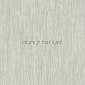 Hookedonwalls New Wave 24832 | Bestellen bij https://www.kleurmijninterieur.nl/