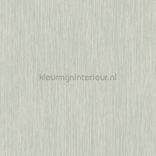 Hookedonwalls New Wave 24832 | Bestellen bij https://www.kleurmijninterieur.nl/