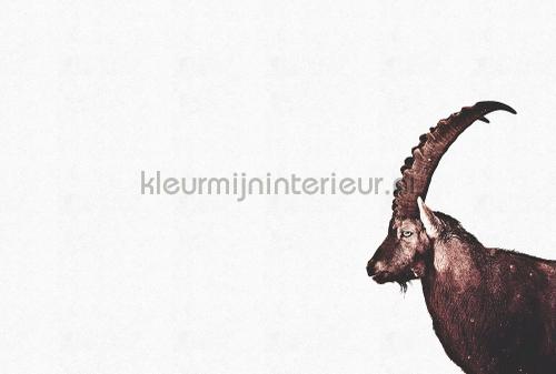 Livingwalls ARTist dd119813 | Bestellen bij https://www.kleurmijninterieur.nl/