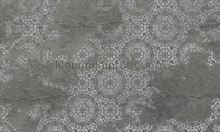 Noordwand Vanilla Lime 14364 | Bestellen bij https://www.kleurmijninterieur.nl/