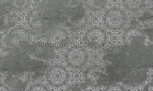 Noordwand Vanilla Lime 14364 | Bestellen bij https://www.kleurmijninterieur.nl/