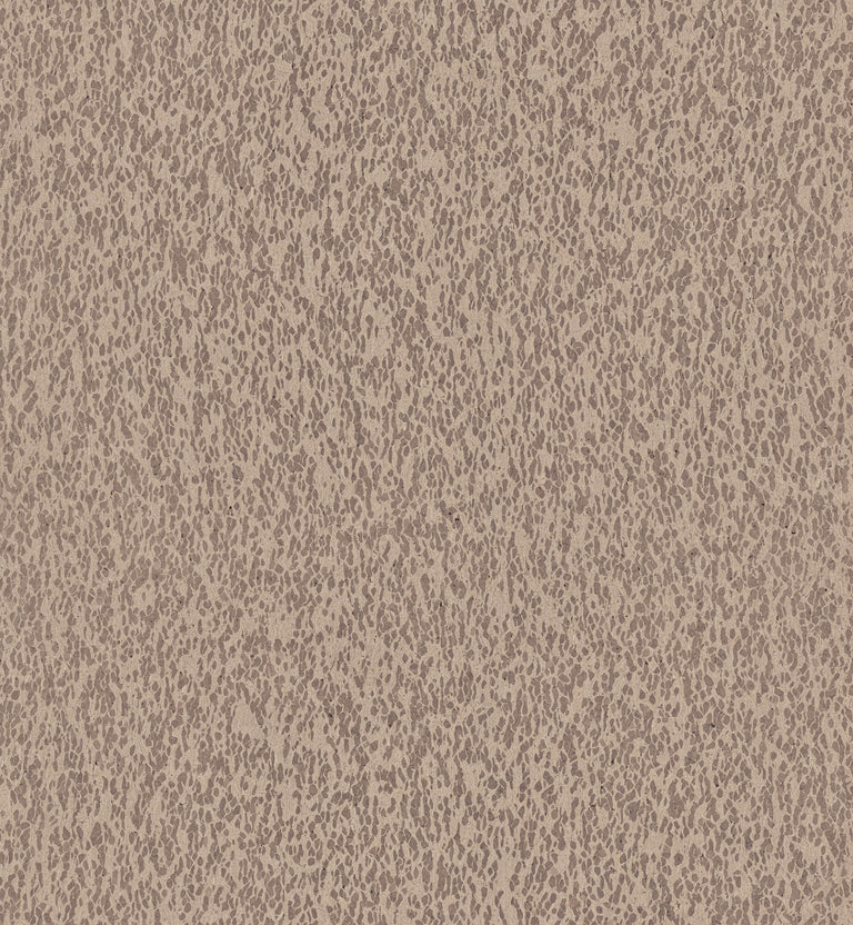 CAS31 | kleurmijninterieur