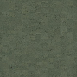 CAS46 | kleurmijninterieur