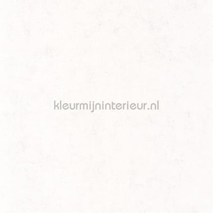 Caselio Beton bet101480000 | Bestellen bij https://www.kleurmijninterieur.nl/