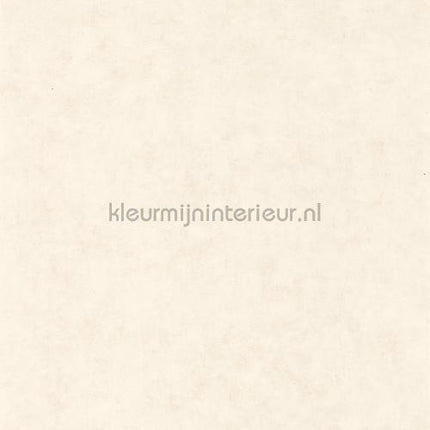 Caselio Beton bet101480010 | Bestellen bij https://www.kleurmijninterieur.nl/