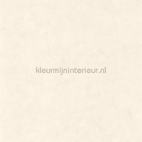 Caselio Beton bet101480010 | Bestellen bij https://www.kleurmijninterieur.nl/