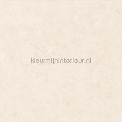 Caselio Beton bet101481002 | Bestellen bij https://www.kleurmijninterieur.nl/