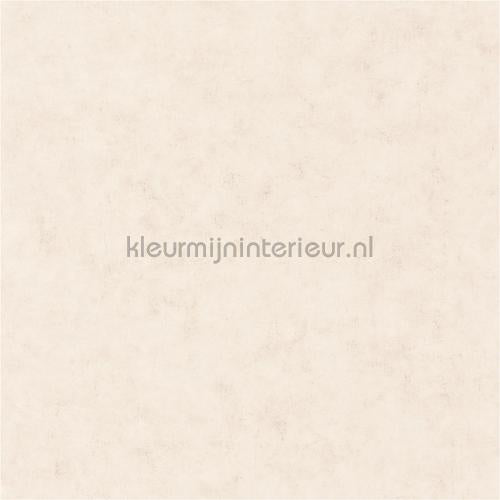 Caselio Beton bet101481002 | Bestellen bij https://www.kleurmijninterieur.nl/
