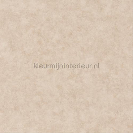 Caselio Beton bet101481156 | Bestellen bij https://www.kleurmijninterieur.nl/