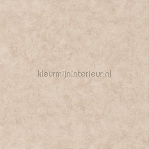 Caselio Beton bet101481156 | Bestellen bij https://www.kleurmijninterieur.nl/