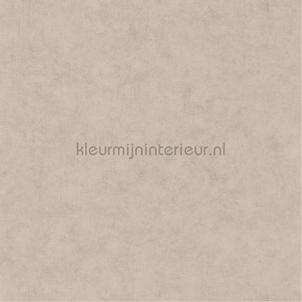 Caselio Beton bet101481342 | Bestellen bij https://www.kleurmijninterieur.nl/