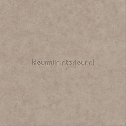 Caselio Beton bet101481462 | Bestellen bij https://www.kleurmijninterieur.nl/