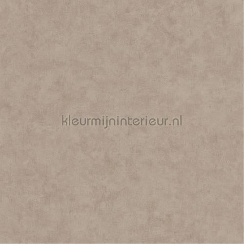 Caselio Beton bet101481462 | Bestellen bij https://www.kleurmijninterieur.nl/