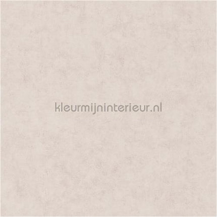 Caselio Beton bet101481693 | Bestellen bij https://www.kleurmijninterieur.nl/