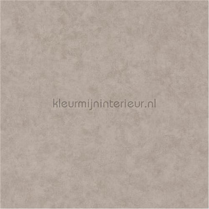 Caselio Beton bet101481795 | Bestellen bij https://www.kleurmijninterieur.nl/