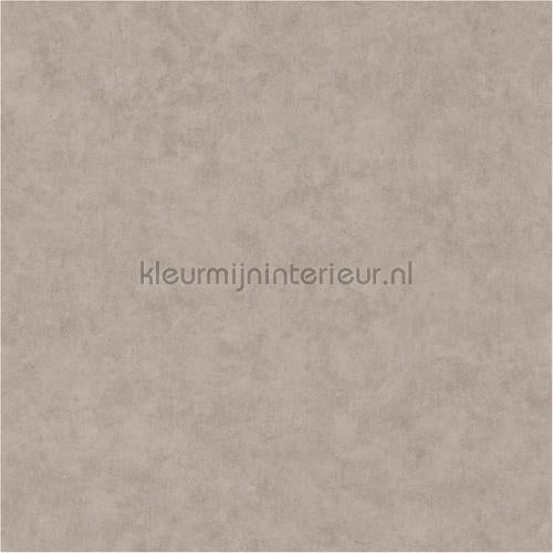 Caselio Beton bet101481795 | Bestellen bij https://www.kleurmijninterieur.nl/