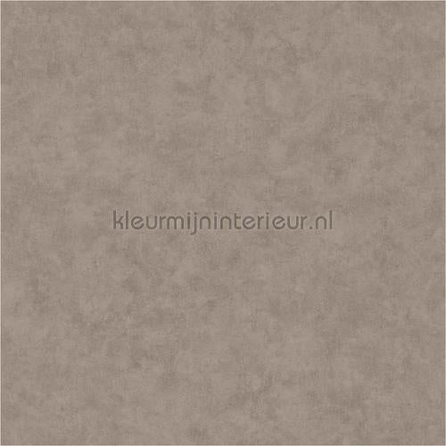 Caselio Beton bet101481899 | Bestellen bij https://www.kleurmijninterieur.nl/