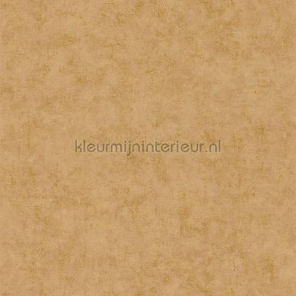 Caselio Beton bet101482150 | Bestellen bij https://www.kleurmijninterieur.nl/
