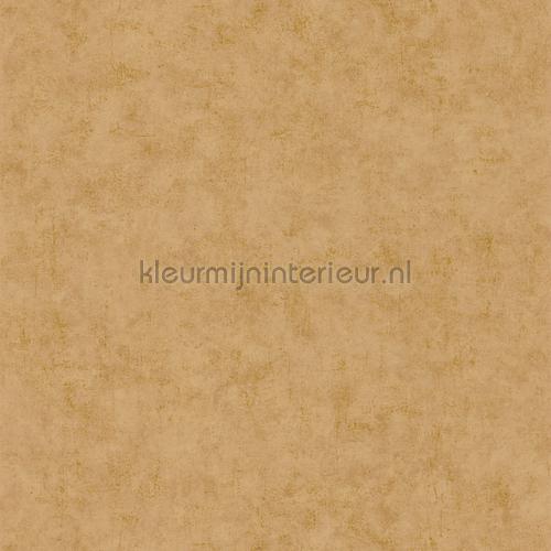 Caselio Beton bet101482150 | Bestellen bij https://www.kleurmijninterieur.nl/