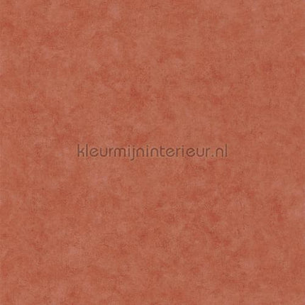 Caselio Beton bet101483000 | Bestellen bij https://www.kleurmijninterieur.nl/