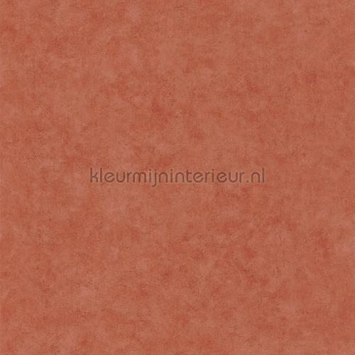 Caselio Beton bet101483000 | Bestellen bij https://www.kleurmijninterieur.nl/