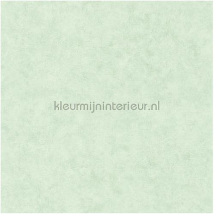 Caselio Beton bet101487400 | Bestellen bij https://www.kleurmijninterieur.nl/