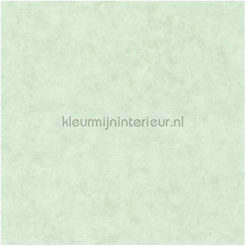 Caselio Beton bet101487400 | Bestellen bij https://www.kleurmijninterieur.nl/