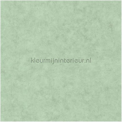 Caselio Beton bet101487516 | Bestellen bij https://www.kleurmijninterieur.nl/