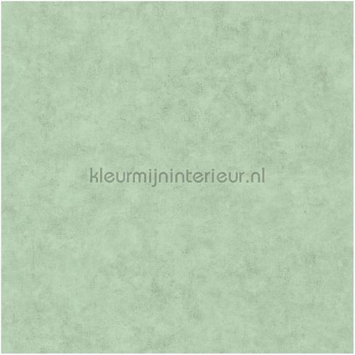 Caselio Beton bet101487516 | Bestellen bij https://www.kleurmijninterieur.nl/