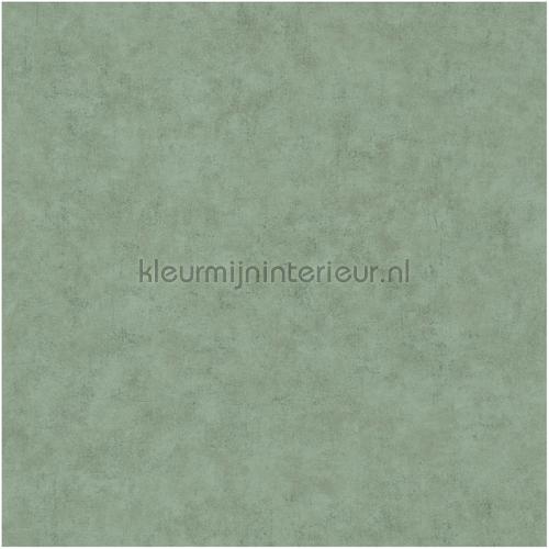 Caselio Beton bet101487670 | Bestellen bij https://www.kleurmijninterieur.nl/