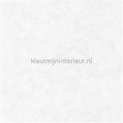 Caselio Beton bet101489000 | Bestellen bij https://www.kleurmijninterieur.nl/