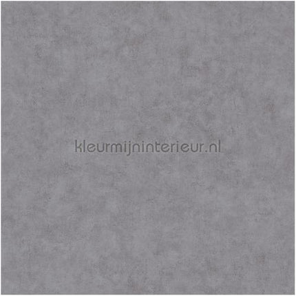 Caselio Beton bet101489260 | Bestellen bij https://www.kleurmijninterieur.nl/