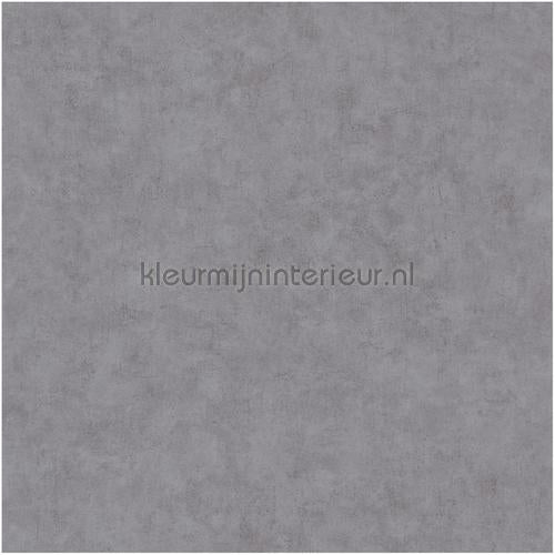 Caselio Beton bet101489260 | Bestellen bij https://www.kleurmijninterieur.nl/