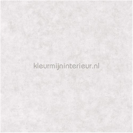 Caselio Beton bet101489301 | Bestellen bij https://www.kleurmijninterieur.nl/
