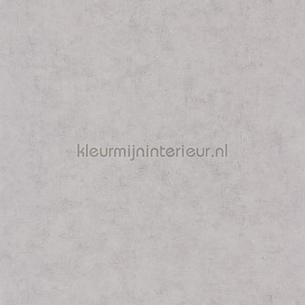 Caselio Beton bet101489460 | Bestellen bij https://www.kleurmijninterieur.nl/
