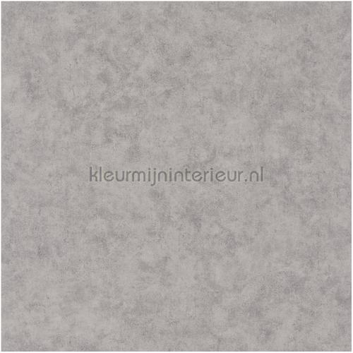 Caselio Beton bet101489550 | Bestellen bij https://www.kleurmijninterieur.nl/