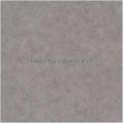 Caselio Beton bet101489600 | Bestellen bij https://www.kleurmijninterieur.nl/