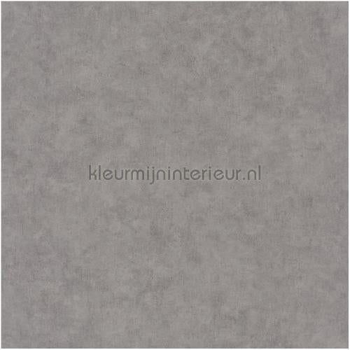 Caselio Beton bet101489600 | Bestellen bij https://www.kleurmijninterieur.nl/