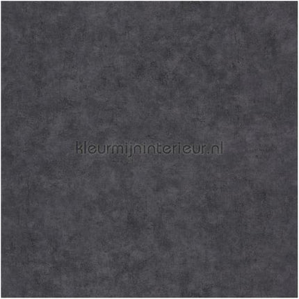 Caselio Beton bet101489899 | Bestellen bij https://www.kleurmijninterieur.nl/