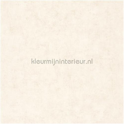 Caselio Beton bet101491019 | Bestellen bij https://www.kleurmijninterieur.nl/