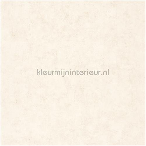 Caselio Beton bet101491019 | Bestellen bij https://www.kleurmijninterieur.nl/