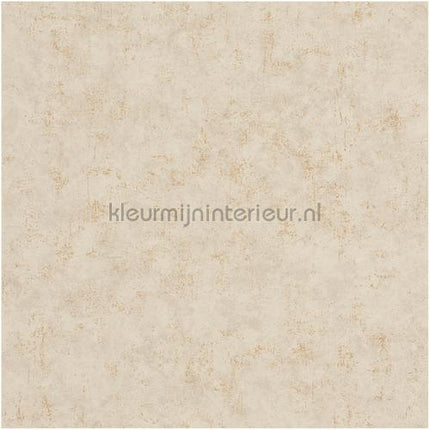 Caselio Beton bet101491127 | Bestellen bij https://www.kleurmijninterieur.nl/