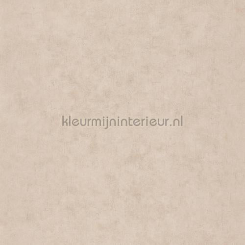 Caselio Beton bet101491287 | Bestellen bij https://www.kleurmijninterieur.nl/