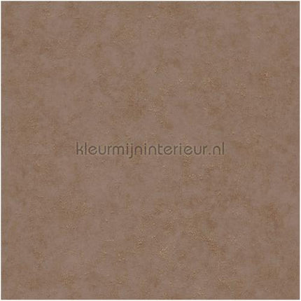 Caselio Beton bet101492010 | Bestellen bij https://www.kleurmijninterieur.nl/